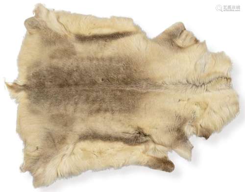 Arctic reindeer skin. size: 130 x 106 cms.