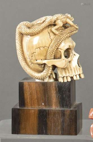 Skull with Frog and Snake" in carved ivory 20th century...