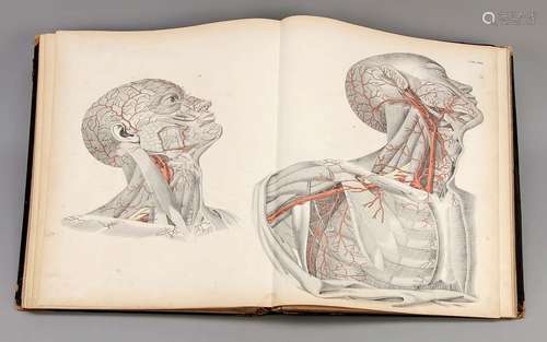 M.J. Weber, ''Anatomical Atlas of the Human Body in Natural ...