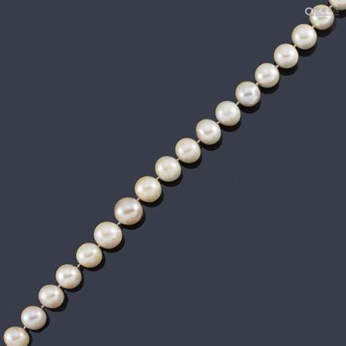 Australian pearl necklace approx. 11.44 - 13.39 mm…