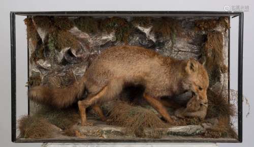 An antique English taxidermy fox and rabbit display in case ...