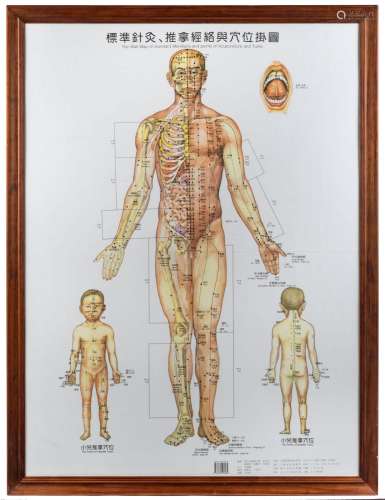 CHINESE MEDICINE: Set of 3 modern charts, each 105 x 77, fra...