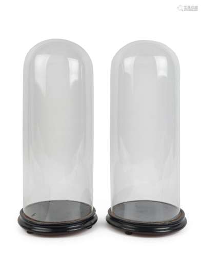 A pair of large French cylindrical glass domes on ebonised o...