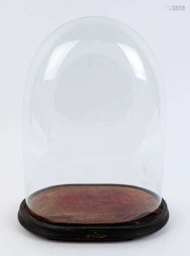 A large oval French glass dome on an ebonised ogee moulded b...