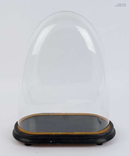 A large oval French glass dome on ebonised ogee moulded base...