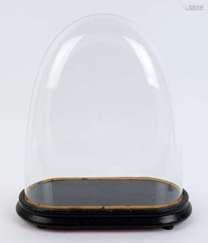 A large oval French glass dome on ebonised ogee moulded base...