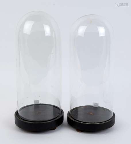 A pair of small French cylindrical glass domes on ebonised t...