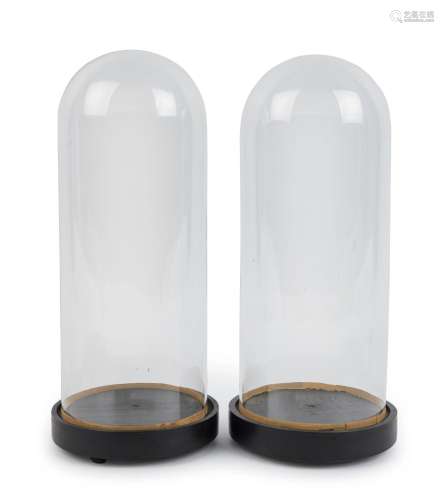 A pair of small French cylindrical glass domes on ebonised t...