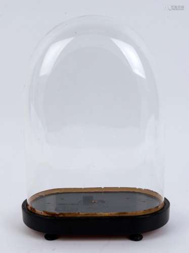 A small French oval glass dome on ebonised timber plinth bas...