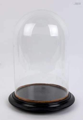 A large cylindrical French glass dome on an ebonised moulded...
