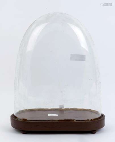 A large oval French glass dome on brown painted timber plint...