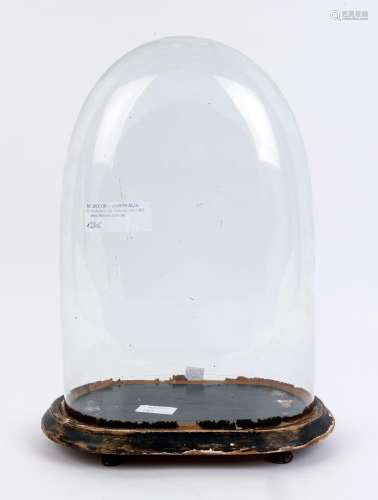 An oval French glass dome with ebonised timber ogee moulded ...