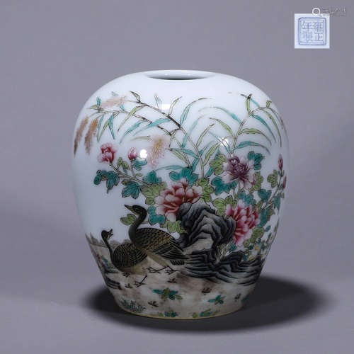 A famille rose duck porcelain water pot