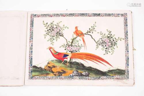 A Chinese export album of twelve pith paper ornithological s...