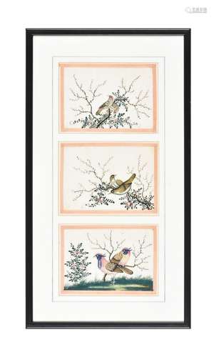 Twelve Chinese Export 'Bird' paintings