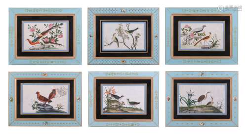 Six Chinese paintings of birds