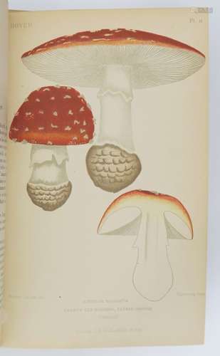 BOYER (Léon). Atlas des champignons de la Franche-Comté et d...