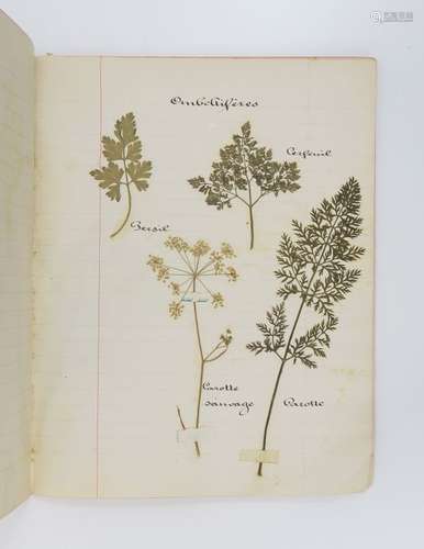 Herbier. Cahier manuscrit 