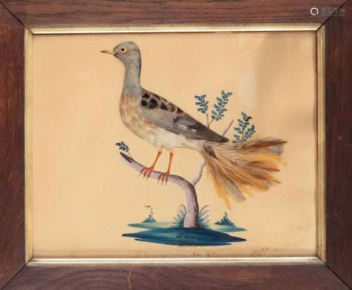 École anglaise du 19e siècle, paire de peintures d'oiseaux, ...
