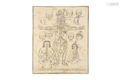 A MONGOLIAN ANATOMICAL CHART.