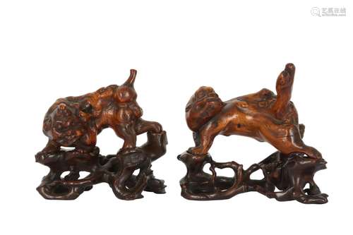 A PAIR OF CHINESE BURLWOOD LIONS.