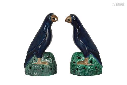 A PAIR OF CHINESE NAVY BLUE-GLAZED PARROTS.