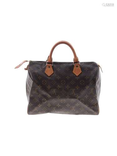 Louis Vuitton Women Brown Monogram Canva Speedy 35