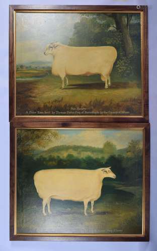 English School (19th Century) Prized Ram, Thomas Potter