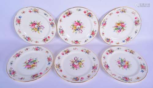 SIX HAMMERSLEY & CO PORCELAIN PLATES by F Howard,