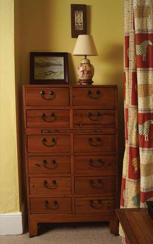 CHINESE ELMWOOD CHEST