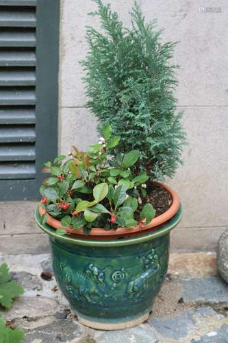 GLAZED TERRACOTTA PLANTER