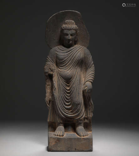 Gandhara-Grey Schist Buddha Statue
