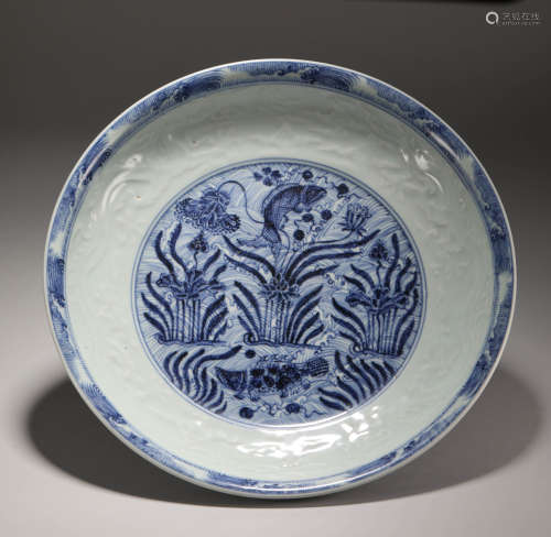 Yuan Dynasty - Blue and White Fish Algae Plate