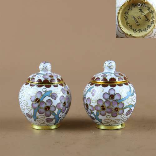 A Pair of Chinese Cloisonne Flower Patterned Jars