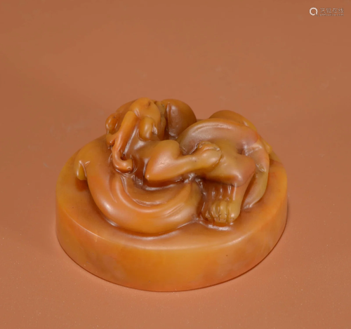 Carved Tianhuang Stone Chilong Seal