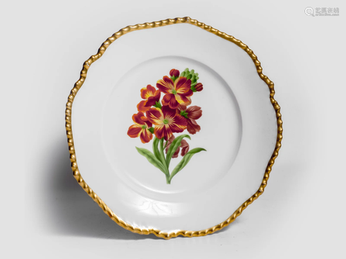 Alt Wien porcelain - Five porcelain plates