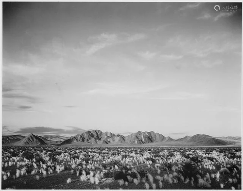 ANSEL ADAMS ** DEATH VALLEY **