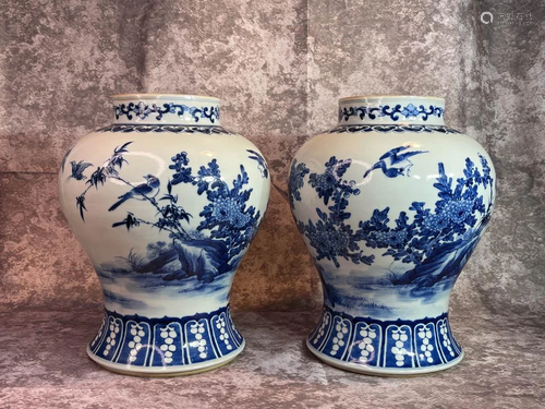 Chinese Pair Blue White Porcelain Jars - Dragon Fly