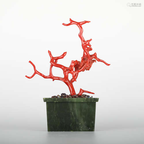 19th,Coral bonsai