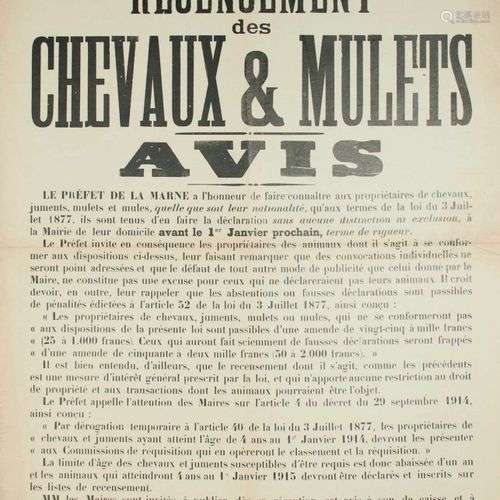 MARNE. 1914. « RECENSEMENT DES CHEVAUX ET MULETS. » Avis du ...