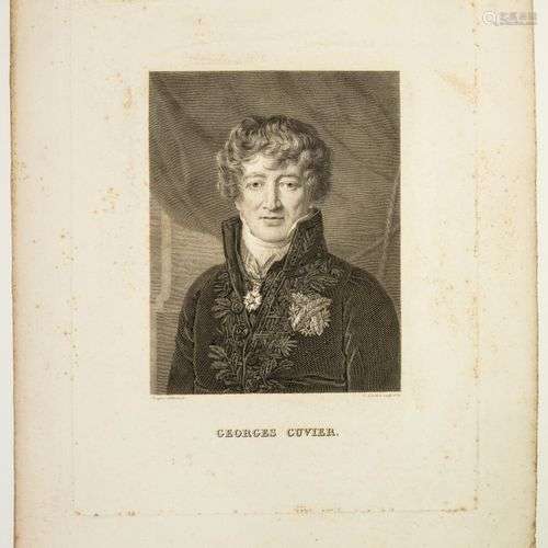 Baron Georges CUVIER, Anatomiste Français, promoteur de l’An...