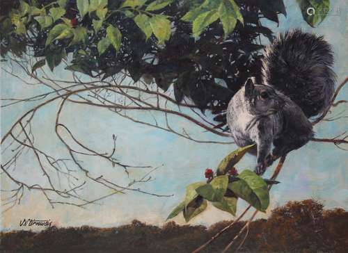 Shannon Stirnweis (B. 1931) Gray Squirrel, Oil