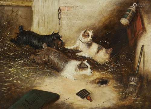 George Armfield, Britannique 1808-1893- Trois terriers se di...