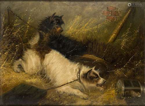 George Armfield, Britannique 1808-1893- Deux terriers se dis...