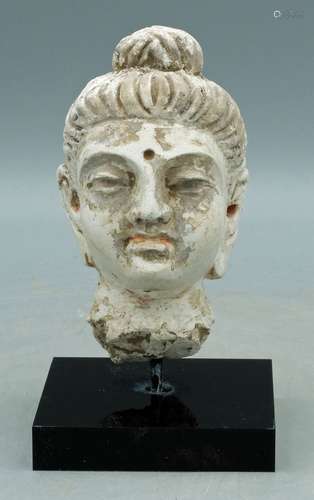 Gandharan Stucco Head - Indus Valley