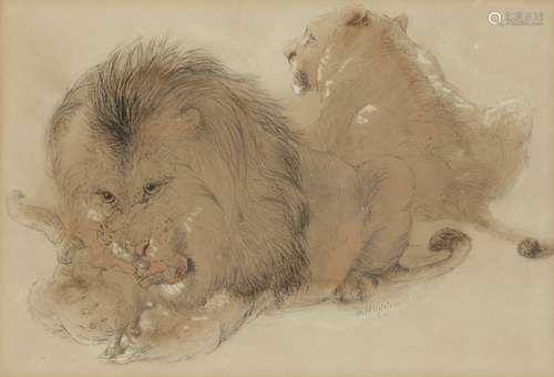 William Huggins, Britannique 1820-1884- Un lion et une lionn...