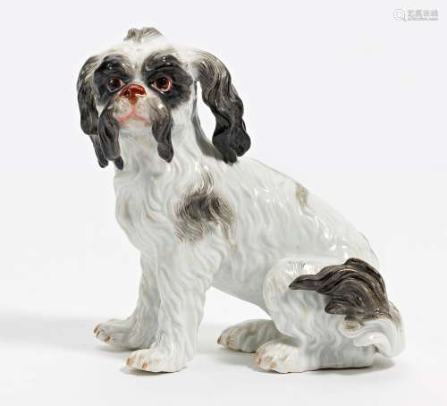 SMALL PORCELAIN FIGURINE OF A BOLOGNESE DOG. Meissen. Date: ...