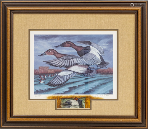 DANIEL HEUER, DUCK STAMP CANVASBACKS,WATERCOLOR