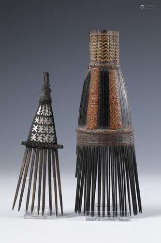 Solomon Islands, large comb