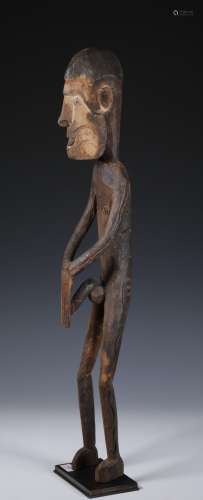 Papua, Asmat, standing male figure, the prominent penis cove...